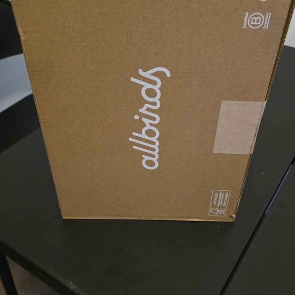 Allbirds Tree Runner Go Box - Natural White and Rustic Orange